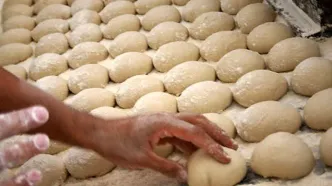 تهران نانوایی عرضه‌کننده «نان کامل» ندارد