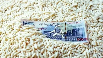 قیمت برنج پاکستانی ۱۳ مهر؛ سوپر باسماتی چند شد؟ + جدول