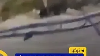 موتورسوار مرگ دلخراش خود را ثبت کرد
