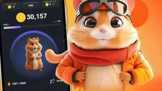 همستر کامبت بزرگ‌ترین کلاهبرداری تاریخ ایردراپ‌ها؛ نفر اول چقدر پول عایدش شد؟