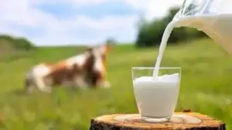 هر گروه سنی روزانه چه مقدار شیر مصرف کند؟