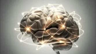 با این رژیم پر از چربی، دیگر آلزایمر نمی گیرید!