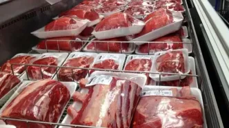 کاهش چشمگیر قیمت گوشت تنظیم بازاری: آغاز واردات روزانه ۲۰۰ تن گوشت