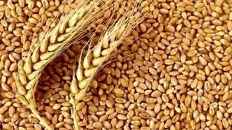 فرمول تعیین قیمت گندم اعلام شد