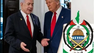 تحلیلی بر پاسخ هوشمندانه حماس و رضایت سریع ترامپ/ گویا فلسطینی ها هم رگ خواب رئیس جمهور آمریکا را پیدا کرده اند!