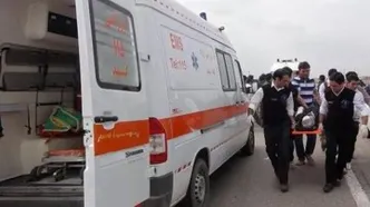 انحراف مینی‌بوس از جاده ۱۴ مصدوم برجای گذاشت