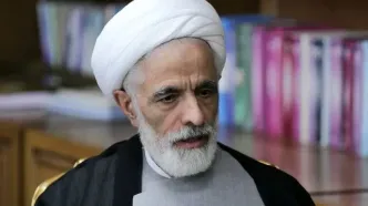 انصاری: ورود به لیست خاکستری اف ای تی اف از فواید پیوستن به کنوانسیون سی اف تی است