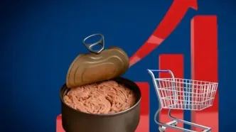 افزایش مجدد قیمت کنسرو ماهی تن در بازار / جایگزین گوشت و مرغ از سفره مردم حذف می‌شود؟‌