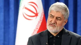 نسخه تازه برای اجرای امر به معروف خبرساز شد