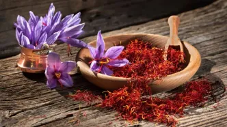 ماشه داخلی علیه صادرات زعفران | احتشام: قیمت‌گذاری صادراتی، عامل مشکلات است ا از ماشه‌ خارجی نمی‌ترسیم اما...