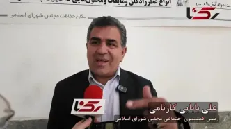 اظهارات باهنر درباره نیروهای شرکتی نقض غرض است / این مواضع نارضایتی اجتماعی را تشدید می‌کند
