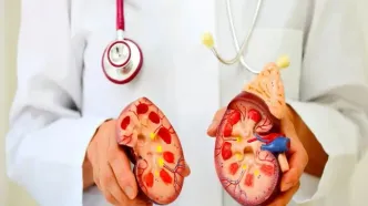با خوردن زیاد این خوراکی‌ها سنگ کلیه می‌گیرید