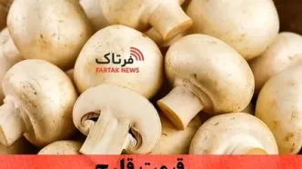قیمت قارچ امروز شنبه ۱۹ مهر ۱۴۰۴ |نوسان تازه در بازار قارچ