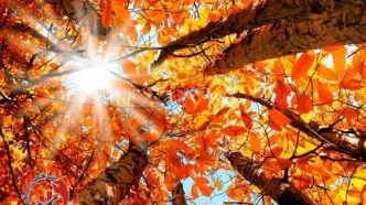 پاییز امسال با آب و هوای تابستانی / ۵ درجه دمای بیشتر تا آذرماه!