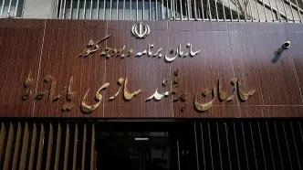 ماجرای پیامک‌ سازمان هدفمندی یارانه‌ها به سرپرستان خانوار