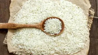 قیمت برنج پاکستانی و هندی مهر ۱۴۰۴؛ جدول نرخ‌ها منتشر شد