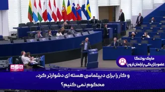نماینده پارلمان اروپا:  هدف ما تبدیل ایران به سوریه‌ای جدید است