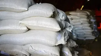 تاریخ توزیع برنج تنظیم بازاری مشخص شد