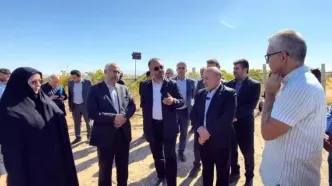 کشت موفق انگور در مزرعه ۴۰۰ هکتاری قِیقاج