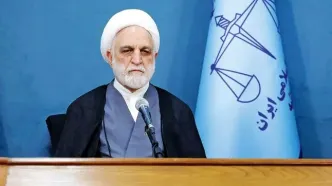 اژه ای:برخی حق واردات خود را می‌فروشند