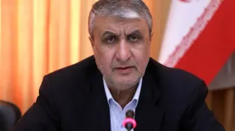 اسلامی: هر روز تهدید می‌شویم که «اگر دست به اقدامی بزنید، دوباره حمله می‌کنیم» / بازرسان آژانس، ساعت هشت صبح روزی که حمله شد، قرار بود از تأسیسات هسته‌ای ما بازدید کنند