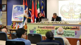 «تئاتر سایه عروسکی در ایران مهجور مانده است»