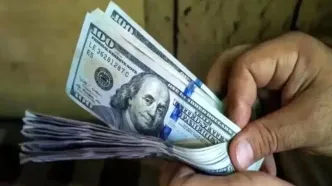 نوسان تند دلار و یورو امروز ۴ آبان ۱۴۰۴ | بازار ارز در شوک کاهش ناگهانی نرخ‌ها!