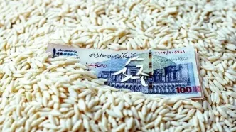 قیمت برنج پاکستانی ۱۹ مهر ۱۴۰۴؛ نرخ درجه‌یک اعلام شد + جدول