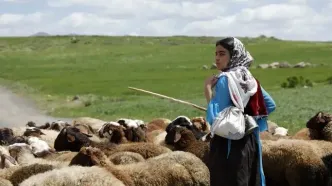 «دختر قاصدک‌ها» راهی ایتالیا می‌شود