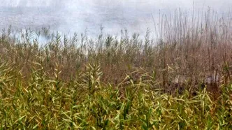 همه ایستگاه‌های اهواز در وضعیت «قرمز» قرار گرفت