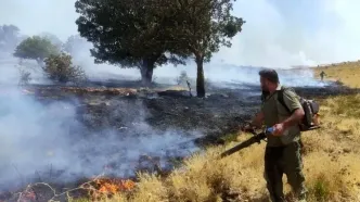 آتش سوزی مراتع جنگلی بخش گواور گیلانغرب