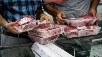 آغاز عرضه گوشت وارداتی با قیمت زیر۷۰۰تومان؛ گزینه‌ای ارزان‌تر برای بازار پرنوسان