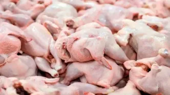 علت افزایش قیمت مرغ در ۶ آبان اعلام شد