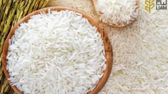 مجوز واردات ۱۲۰ هزار تن برنج پاکستانی صادر شد