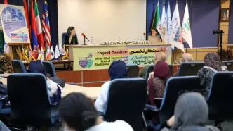 پنجمین نشست جشنواره آیینی سنتی برگزار شد/«تئاتر سایه عروسکی در ایران مهجور مانده است»