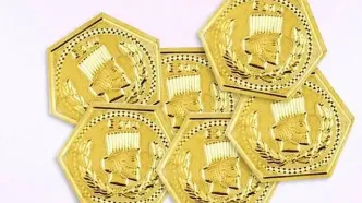 قیمت سکه پارسیان امروز پنجشنبه ۸ آبان ۱۴۰۴ | الان زمان خوبی برای خرید سکه پارسیان است؟