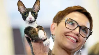 تصاویری از بزرگ‌ترین نمایشگاه گربه‌ها در جهان