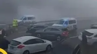 یک قلاده یوزپلنگ آسیایی در توران دیده شد