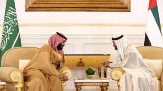 رقابت‌های قدیمی، تنش‌های جدید؛ پشت پرده غیبت بن سلمان و بن زاید در شرم الشیخ