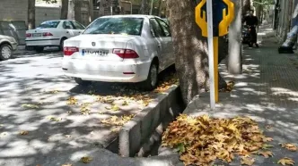 پاییز تهران خشک‌تر از تابستان خواهد بود!