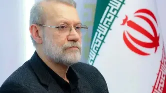 لاریجانی: اگر آژانس برای همکاری پیشنهادی دارد درخواست دهد
