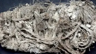 کشف پاپوش ۶۵۰ ساله در لانه همای سعادت!