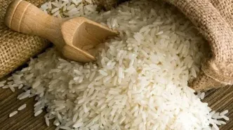 واردات گسترده برنج هندی و پاکستانی به ایران؛ جزئیات اعلام شد