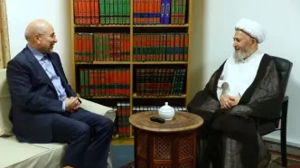 رئیس مجلس شورای اسلامی با آیت‌الله سبحانی دیدار کرد