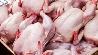 قیمت مرغ گرم در میادین میوه و تره بار امروز ۱۳ مهر ۱۴۰۴