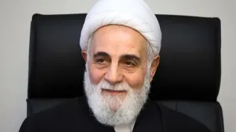 ناطق نوری: دشمن پیشنهاد آتش‌بس داد