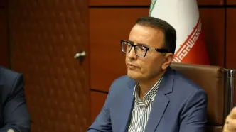 واردات گوشت به صورت پروازی نداریم