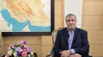 معاون بین‌الملل شرکت دولتی «روس‌اتم» با اسلامی دیدار کرد