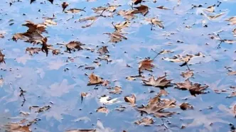 وضعیت دما و بارش تا فروردین ۱۴۰۵