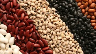 قیمت حبوبات در بازار/قیمت ها 30 درصد بالا رفت